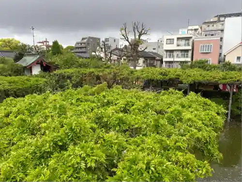 亀戸天神社(東京都)