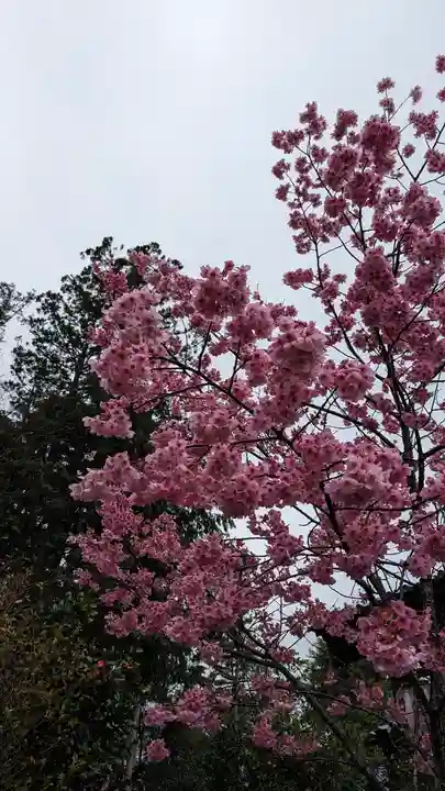 大歳神社(京都府)