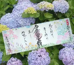 伊勢原 法泉寺(神奈川県) 2024年06月17日(月)〜(2024年06月17日(月) 11時35分06秒投稿)