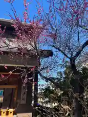 猿田彦神社の自然