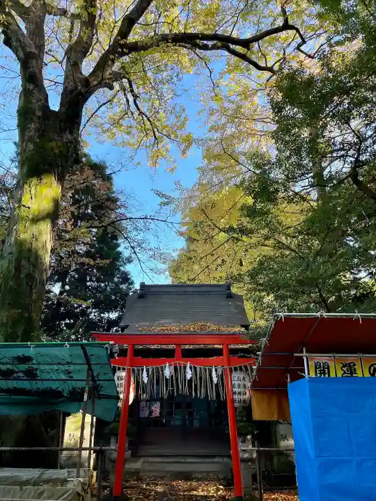 武蔵野八幡宮(東京都)