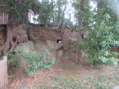 法真寺(東京都)