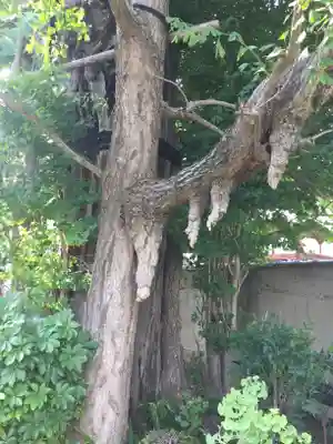 常光寺のその他建物