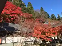 永源寺の自然