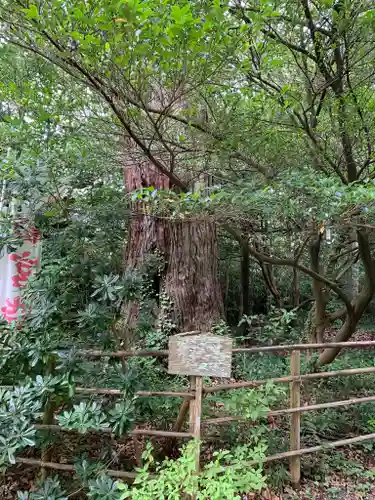 佐麻久嶺神社の自然