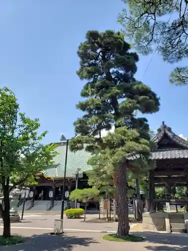 妙法寺のその他建物