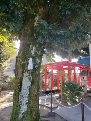 新井天神北野神社(東京都)