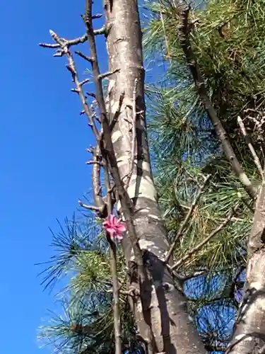 開成山大神宮(福島県)