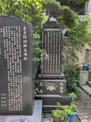 正法寺の{uncategorized: "未分類", other: "その他", undefined: "問題あり", building: "その他建物", grave: "お墓", sacred_gate: "鳥居", guardian: "狛犬", statue: "像", buddha: "仏像", history: "歴史", nature: "自然", garden: "庭園", animal: "動物", pagoda: "塔", temizu: "手水舎", mountain_gate: "山門・神門", sanctuary: "本殿・本堂", subordinate: "末社・摂社", art: "芸術", scenery: "景色", jizo: "地蔵", ema: "絵馬", goshuin: "御朱印", omikuji: "おみくじ", items: "授与品その他", amulet: "お守り", goshuincho: "御朱印帳", eats: "食事", festival: "お祭り", votive_dance: "神楽", shichigosan: "七五三参", wedding: "結婚式", experience: "体験その他", initially: "初詣", around: "周辺", anti_infection: "感染症対策"}