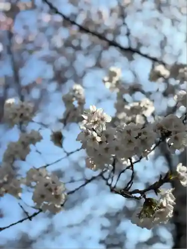 熊野本宮大社(和歌山県)