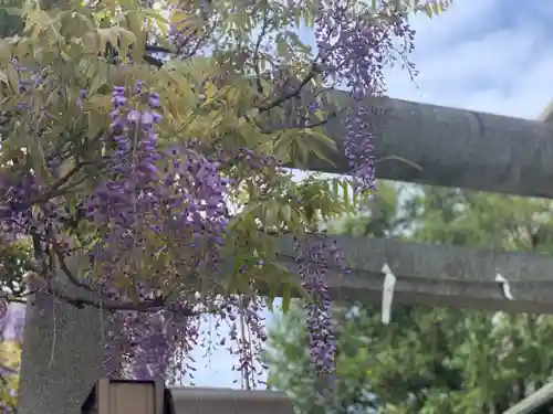 國領神社の自然