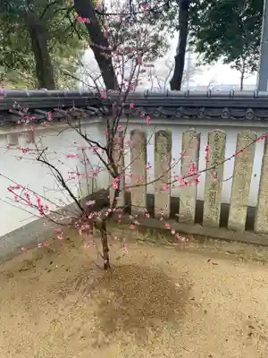 淡路神社の自然