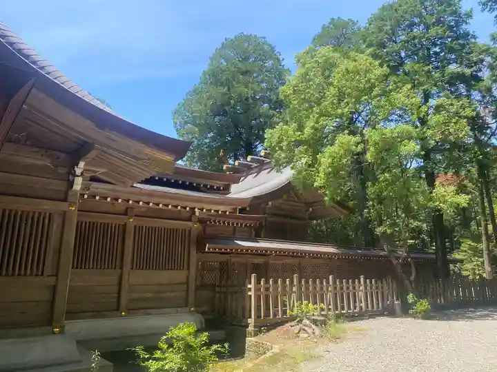 大麻比古神社(徳島県)