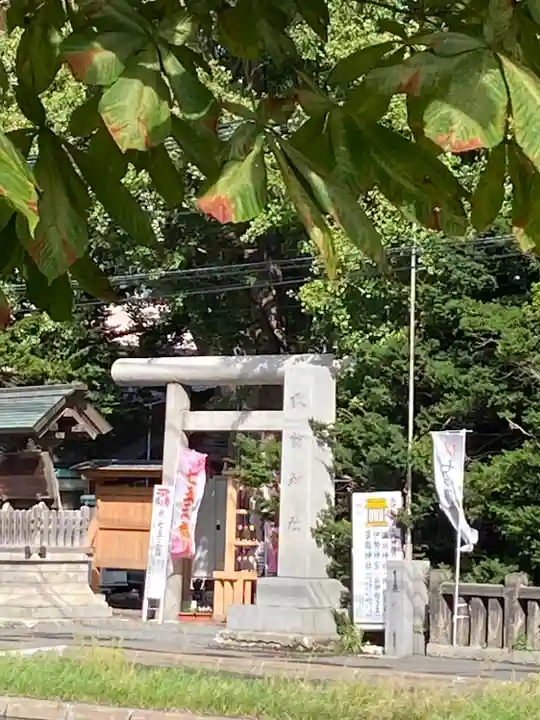 札幌諏訪神社の七五三参