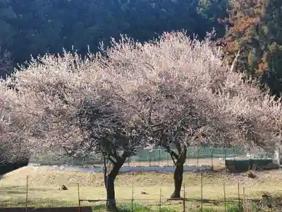 丸嶽山神社(栃木県)