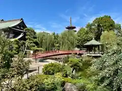 川崎大師（平間寺）(神奈川県)