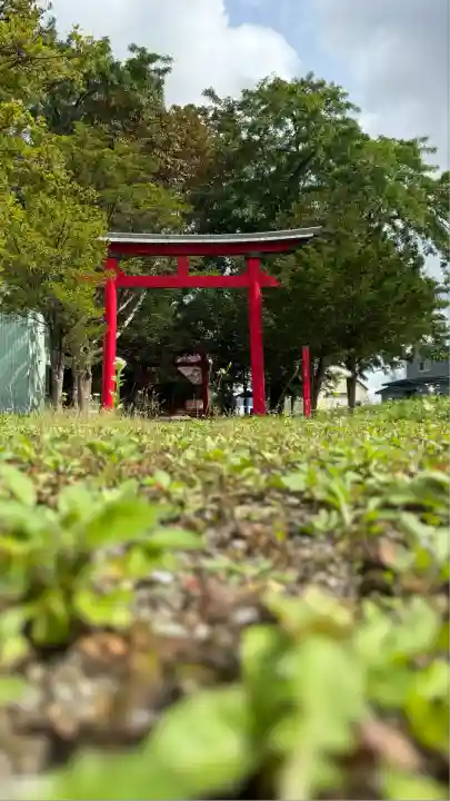 一本木稲荷神社(北海道)