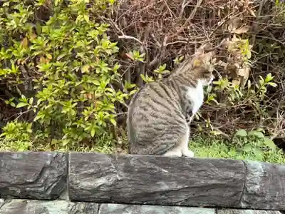 王子神社(徳島県)