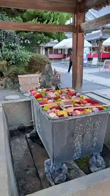 柳谷観音　楊谷寺(京都府)