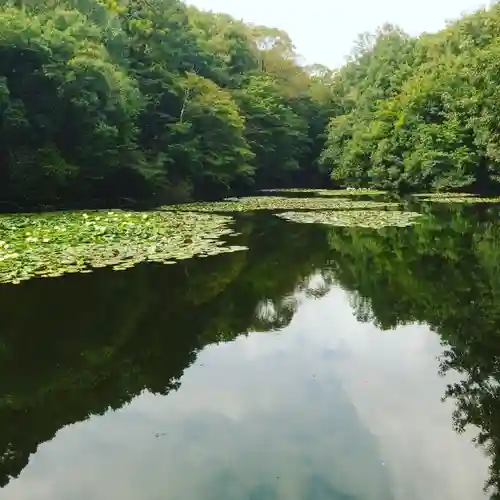 明治神宮の庭園