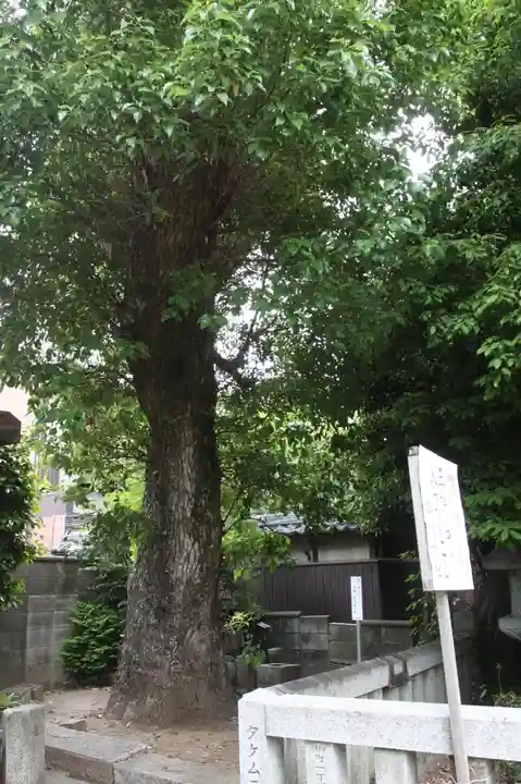 津島神社(奈良県)