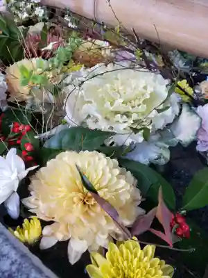 高円寺氷川神社の手水舎