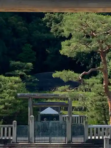 明治天皇伏見桃山陵の鳥居