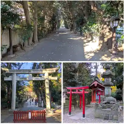 岩槻久伊豆神社(埼玉県)
