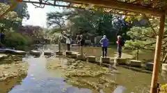 平安神宮の庭園