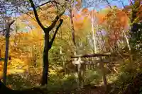 隠津島神社の鳥居