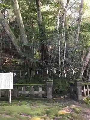 菅原天満宮のお墓
