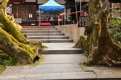 龍蔵寺(山口県)