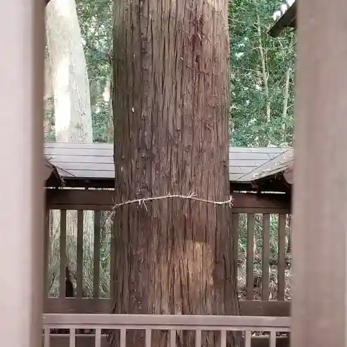 金砂神社の自然