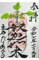 宗鏡寺の御朱印