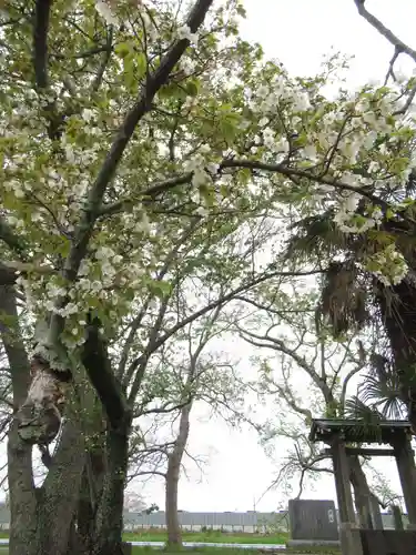 神明神社(千葉県)