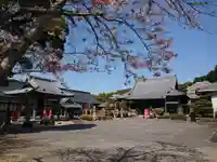 渭信寺の本殿・本堂