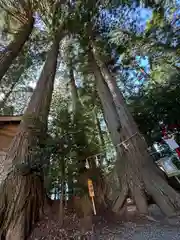 坪沼八幡神社(宮城県)