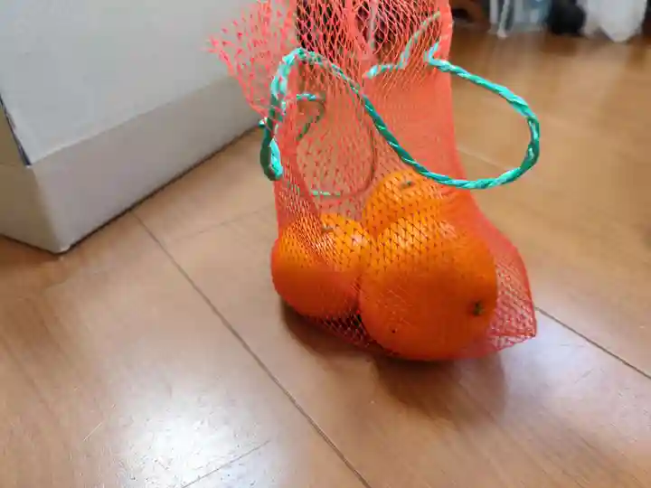 伊勢原大神宮(神奈川県)