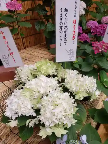 十番稲荷神社のその他建物