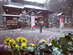 滑川神社 - 仕事と子どもの守り神の本殿