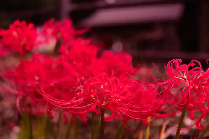 狭野神社(宮崎県)