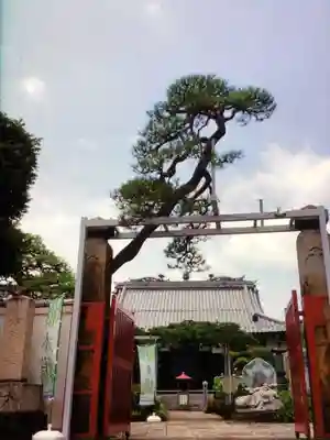 長善寺(東京都)