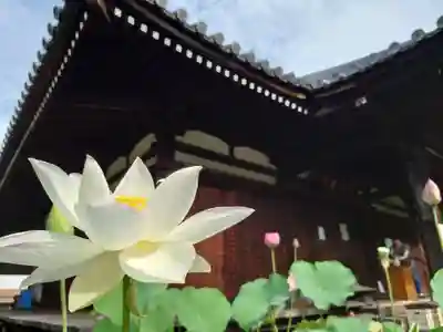 法金剛院(京都府)