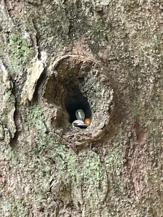 一言主神社(茨城県)