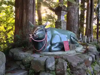 大山寺(鳥取県)