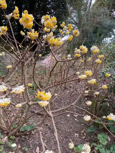 葛原岡神社の自然