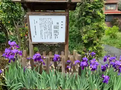 神祇遥拝殿の歴史