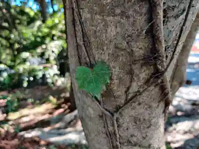 琴崎八幡宮(山口県)
