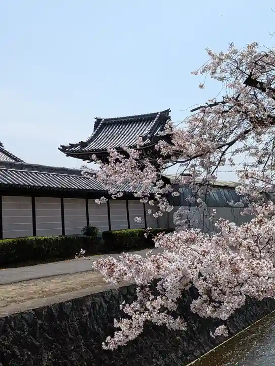 本願寺山科別院(京都府)