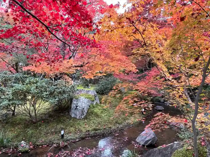 宝厳院(京都府)